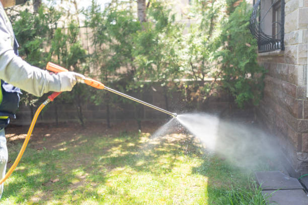 Best Affordable Pest Control Services  in Tunica Resorts, MS