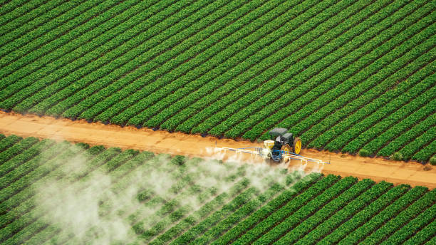 Best Insect Control  in Tunica Resorts, MS